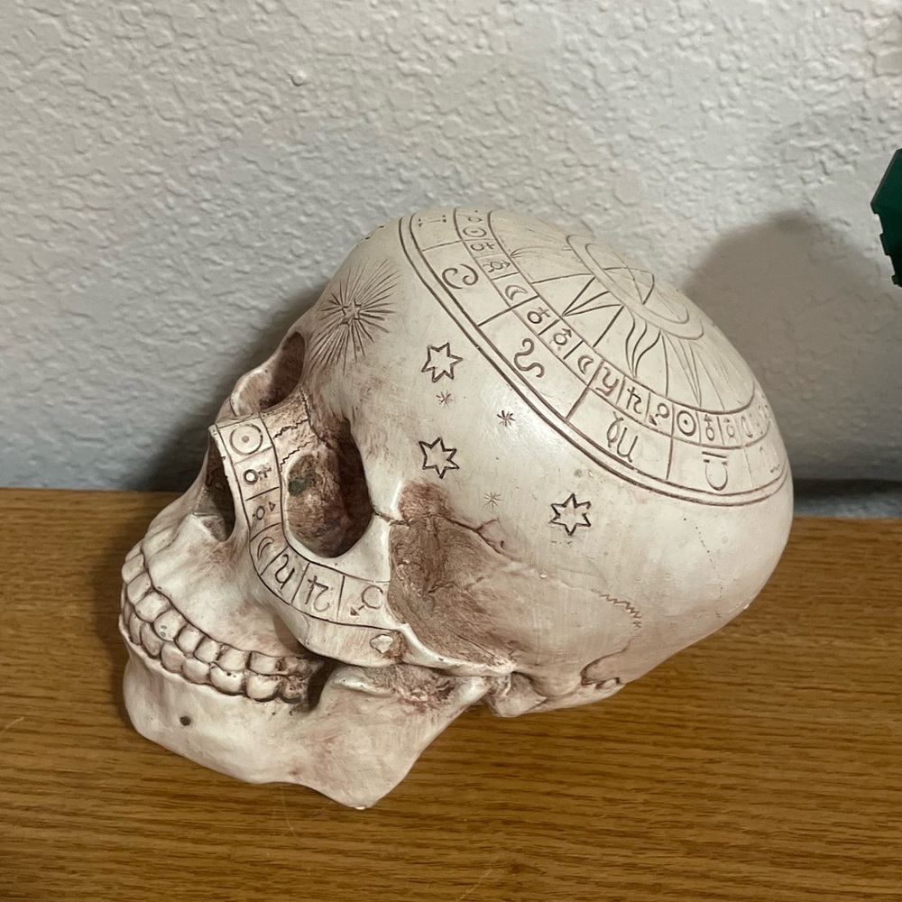 decorative fake skull w pagan/astrology/zodiac symbols